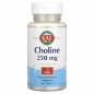  KAL Choline 250  100 